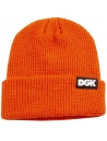 DGK Classic Beanie - Multi Image 2