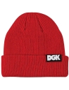 DGK Classic Beanie - Multi Image 4