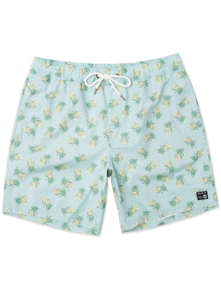 Shorts Rvca PROGRAM - BOARDSHORT 17 Photo 1